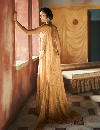 Champagne aureva drape sari and blouse