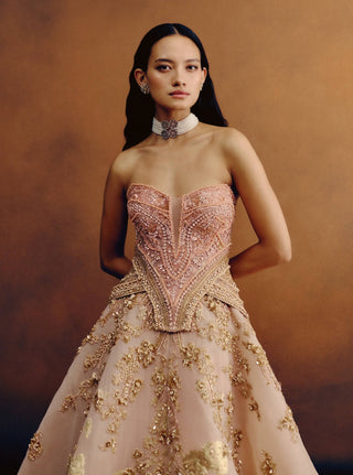Ballet rosé gown