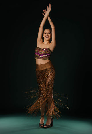 Glass crystal embroidered corset and skirt