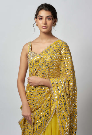 Nandana Yellow Sari And Blouse by Gopi Vaid available on Indiaspopup