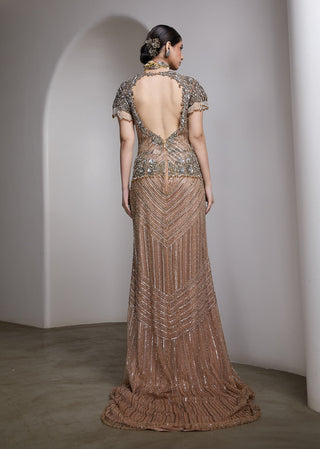 Ivory v-neck embroidered gown