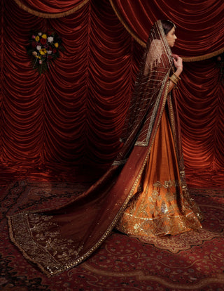 Rani tawny brown lehenga set