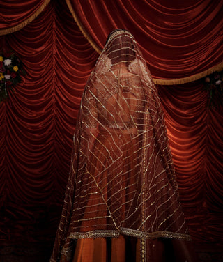 Rani tawny brown lehenga set