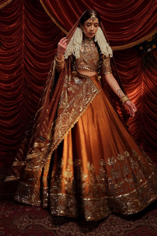 Rani Tawny Brown Lehenga Set by Payal And Zinal available on Indiaspopup.com