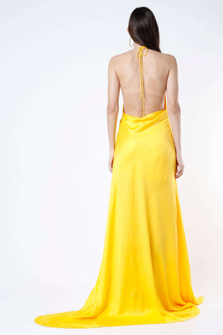 Deme By Gabriella-Yellow Cowl Long Gown-INDIASPOPUP.COM