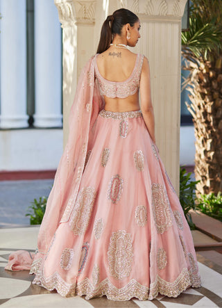 Osaa By Adarsh-Soft Berry Motif Embroidered Lehenga Set-INDIASPOPUP.COM