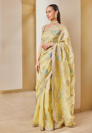 Osaa By Adarsh-Taupe Lemon Embroidered Sari And Blouse-INDIASPOPUP.COM