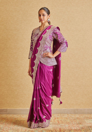Osaa By Adarsh-Aubergine Embroidered Sari And Blouse-INDIASPOPUP.COM