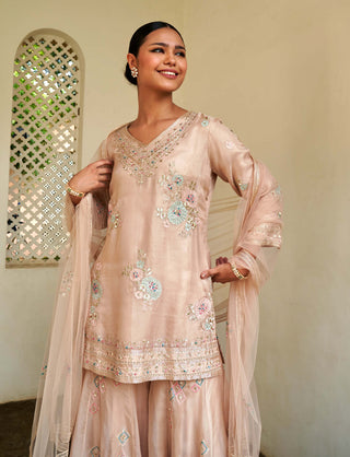 Osaa By Adarsh-Sepia Rose Organza Sharara Set-INDIASPOPUP.COM