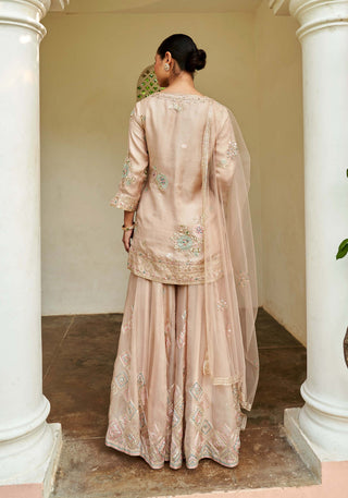 Osaa By Adarsh-Sepia Rose Organza Sharara Set-INDIASPOPUP.COM