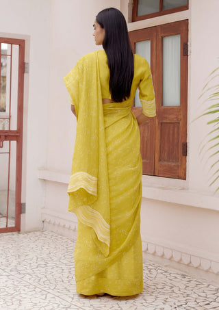 Citrine printed sari and blouse