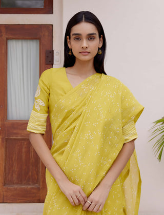 Citrine printed sari and blouse