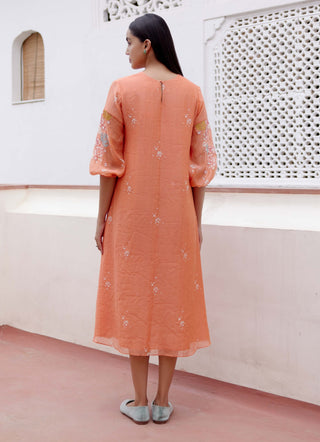 Tangerine Embroidered Dress by Vaayu, available on Indiaspopup.com