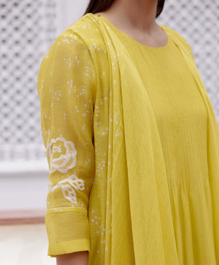 Citrine Yellow Applique Jacket Dress by Vaayu, available on Indiaspopup.com