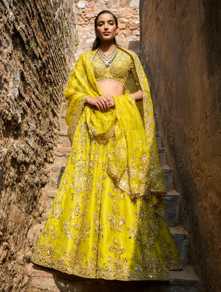 Lime yellow organza lehenga set