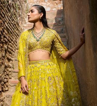 Lime yellow organza lehenga set