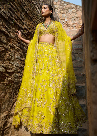 Lime yellow organza lehenga set