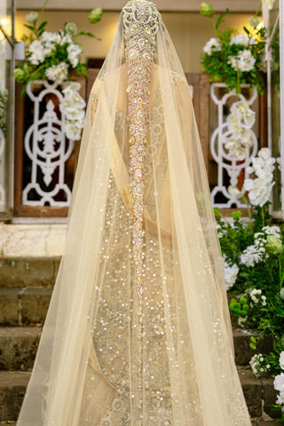 Mrigakshi blush pink lehenga and veil set