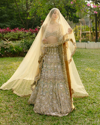 Mrigakshi blush pink lehenga and veil set