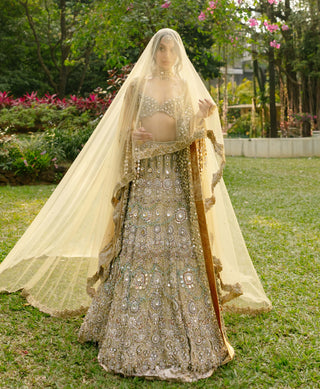 Mrigakshi blush pink lehenga and veil set