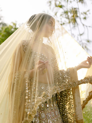 Mrigakshi blush pink lehenga and veil set