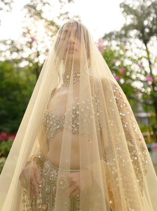 Mrigakshi blush pink lehenga and veil set