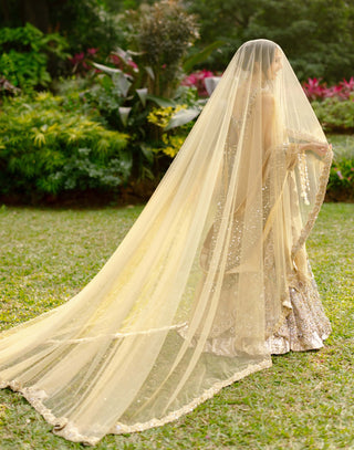 Mrigakshi blush pink lehenga and veil set