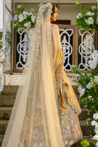 Mrigakshi blush pink lehenga and veil set
