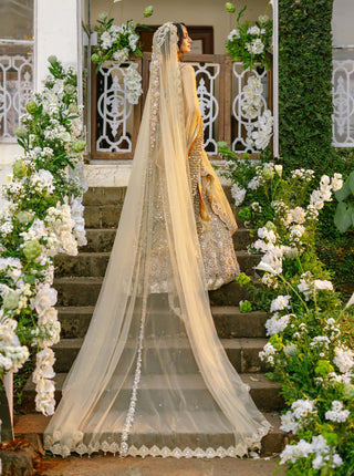 Mrigakshi blush pink lehenga and veil set