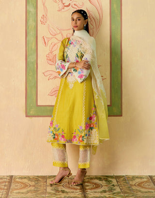 Yellow and ivory embroidered kurta set
