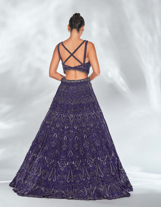 Nitika Gujral-Purple Net Embroidered Lehenga Set-INDIASPOPUP.COM