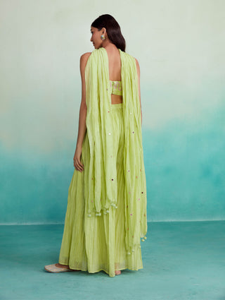 The Right Cut-Zing Lime Sharara Set-INDIASPOPUP.COM