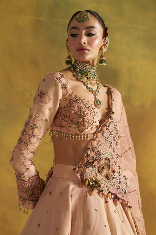 Fitoor blush lehenga set
