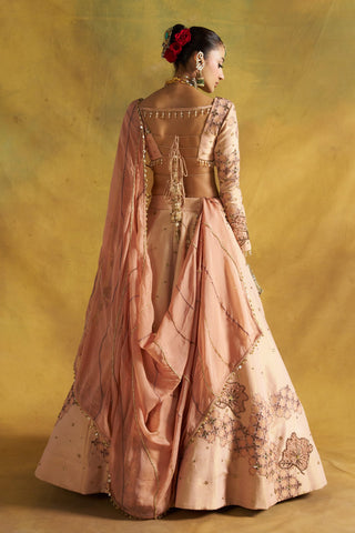 Fitoor blush lehenga set