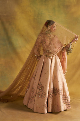 Fitoor blush lehenga set
