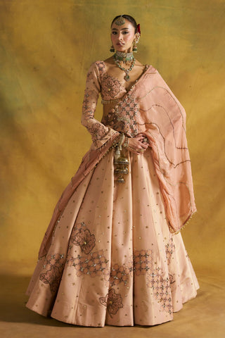 Fitoor blush lehenga set