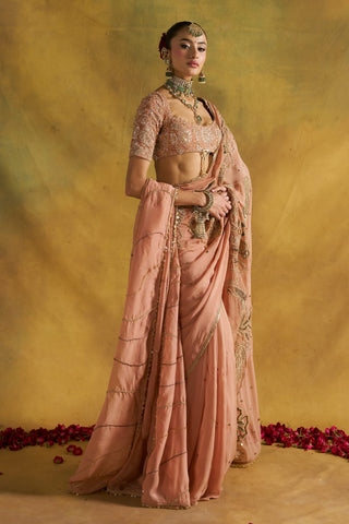 Sri blush sari set