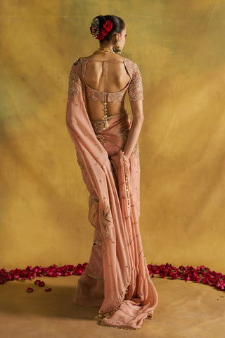 Sri blush sari set