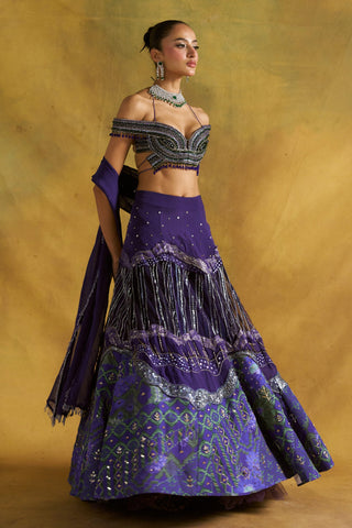 Tara purple lehenga set