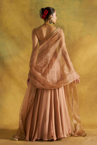Sona Sitara blush kurta set