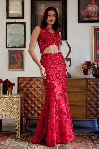 Syrah red lehenga set