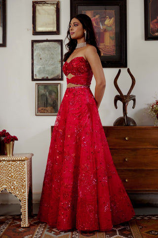 Tia red lehenga set