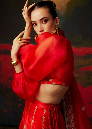 Ekaya-Red Handwoven Silk Lehenga-INDIASPOPUP.COM