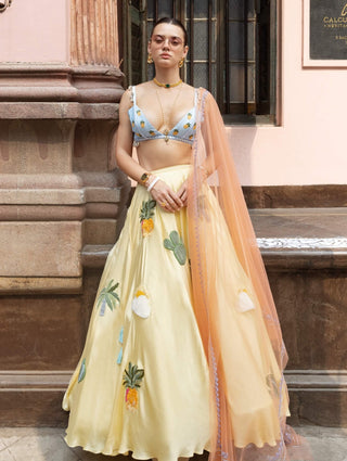 Yellow crepe silk skirt set