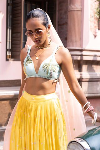 Yellow crepe silk skirt and embroidered bralette