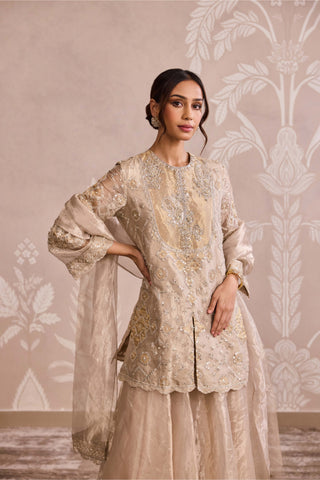 Water gold embroidered kurta set