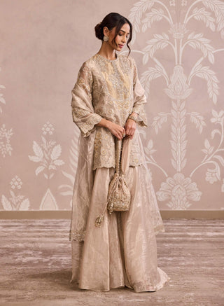 Water gold tissue kurta and sharara set