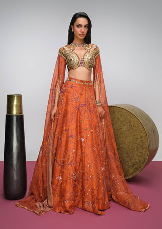 Brick orange printed organza skirt set