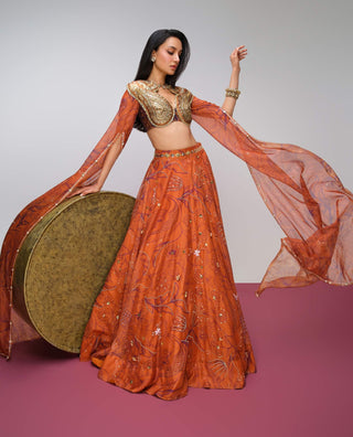 Brick orange printed organza skirt set