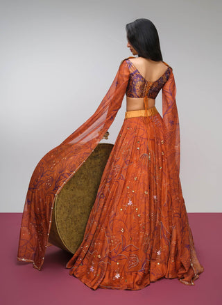 Brick orange printed organza skirt set